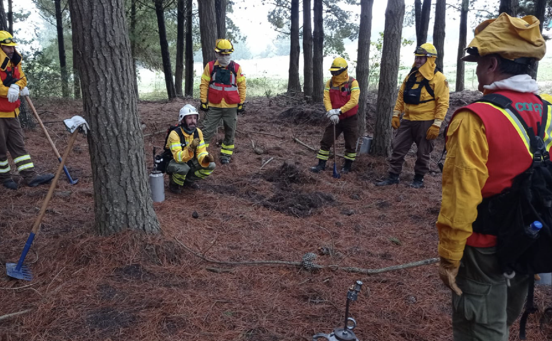 CHILE EJEMPLO INTERNACIONAL EN MATERIA DE PREVENCIÓN Y CONTROL DE INCENDIOS FORESTALES