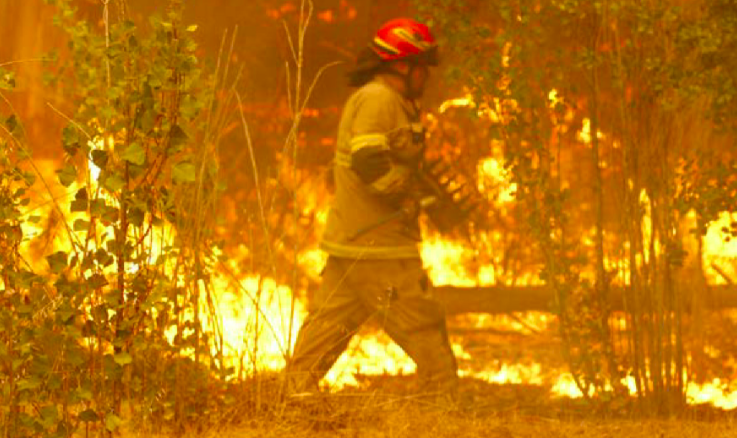 Herramientas innovadoras se aplicarán en la Región del Biobío para reducir impactos de los incendios forestales
