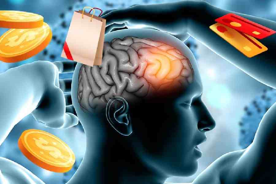 Neuroeconomía: Descubriendo los Secretos de la Toma de Decisiones