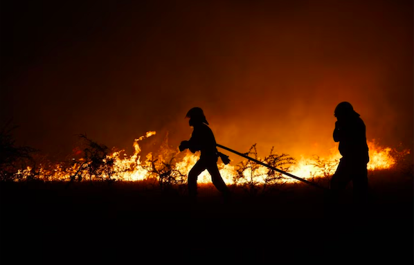 Científicos crean un modelo matemático para prevenir el daño de los incendios forestales