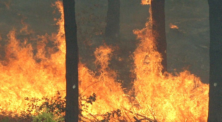 Las claves que debe saber ante una nueva temporada de incendios forestales