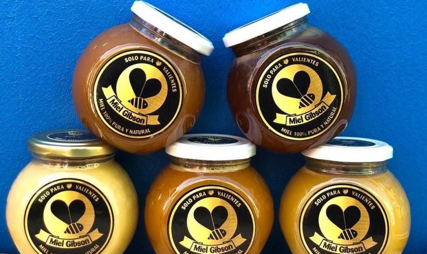 La nueva vida de Miel Gibson: Emprendedora se consolida y forma alianza con startup para hacer despachos a todo el país