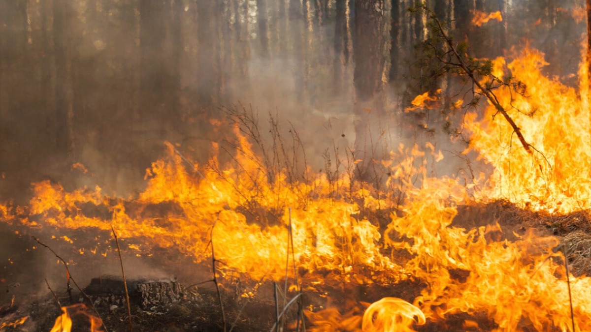 Desarrollamos herramientas de Investigación de Operaciones e Inteligencia Artificial para prevenir grandes incendios forestales