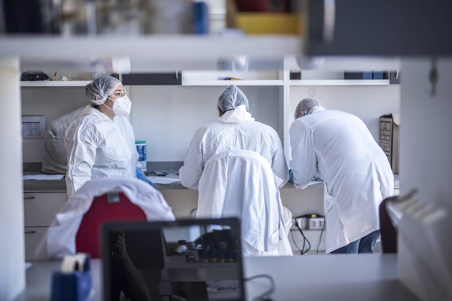 A un año de la adjudicación del Fondo de Investigación COVID-19: Más de 440 investigadores e investigadoras generaron conocimiento y buscan soluciones para enfrentar la pandemia con apoyo de MinCiencia y ANID