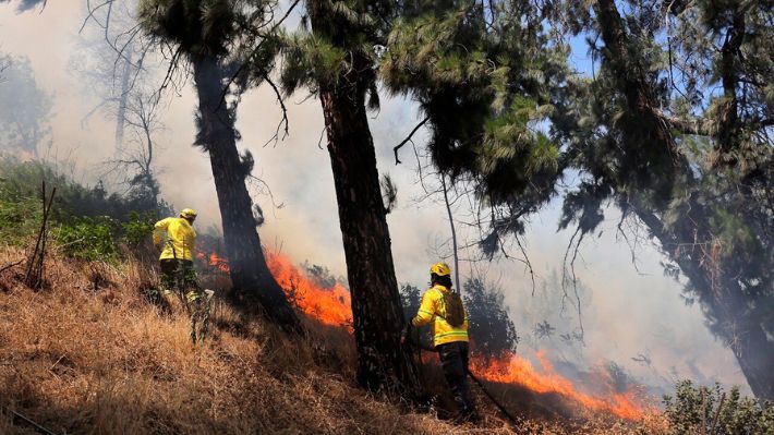 Incendios forestales: Expertos analizan las lecciones para Chile tras lo ocurrido en California